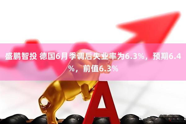 盛鹏智投 德国6月季调后失业率为6.3%，预期6.4%，前值6.3%