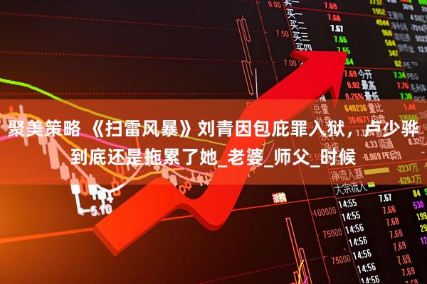 聚美策略 《扫雷风暴》刘青因包庇罪入狱，卢少骅到底还是拖累了她_老婆_师父_时候