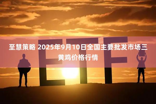 至慧策略 2025年9月10日全国主要批发市场三黄鸡价格行情